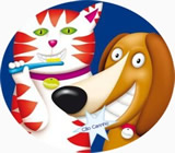 Banho e Tosa de Animais no Centro de Recife