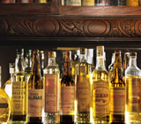 Cachaçarias no Centro de Recife