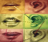 Fonoaudiologia no Centro de Recife