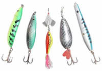 Lojas de Pesca no Centro de Recife