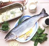 Peixarias no Centro de Recife