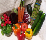 Sacolão, Hortifrutis e Quitandas no Centro de Recife